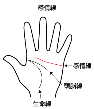 感情線