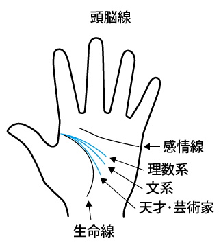 頭脳線