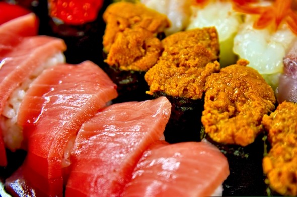 MOK_unitotoro500